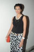 Hamsa Nandhini at Attarintiki Daaredi Audio